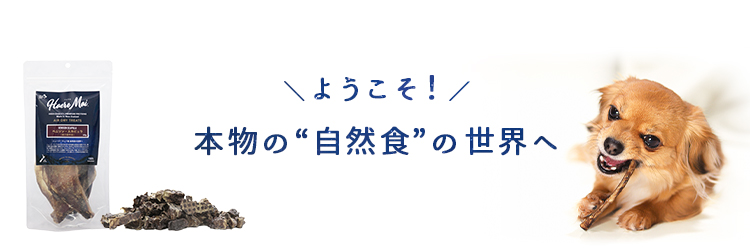 ハレマエ(Haere Mai)エアドライ トリーツのイメージ画像