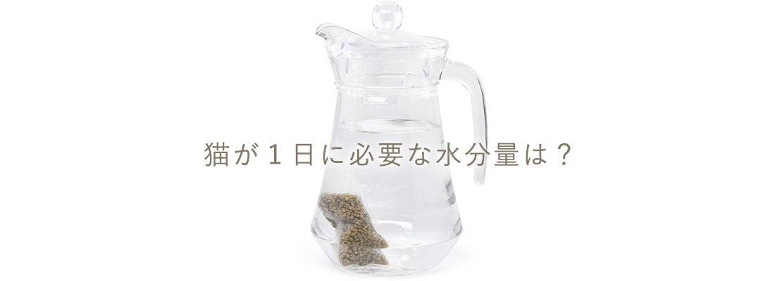 猫が1日に必要な水分量は?