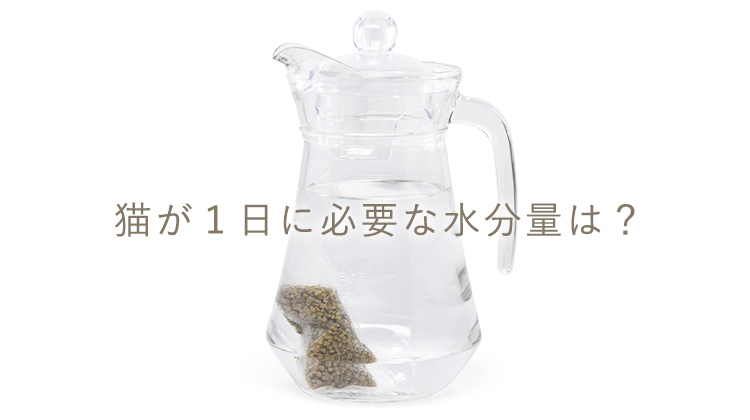 猫が1日に必要な水分量は?