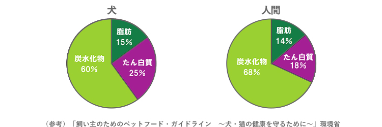 犬と猫と人間の必要な栄養素の割合