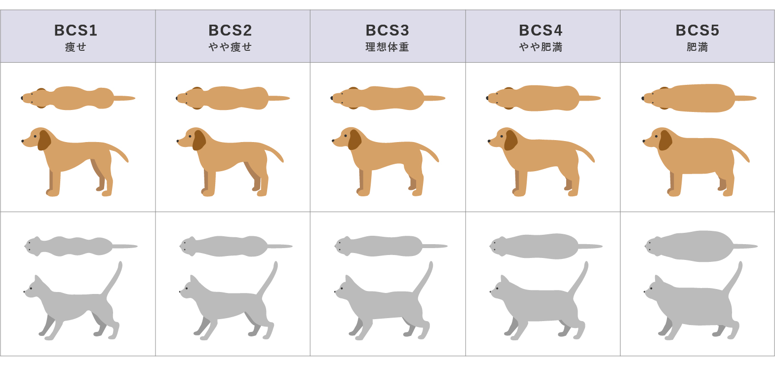 愛犬と愛猫のボディコンディデョンスコア(BCS)