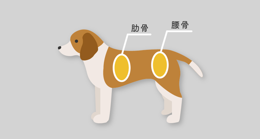 簡単な体型チェックの方法