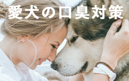 愛犬のお口が臭う～原因と対策～