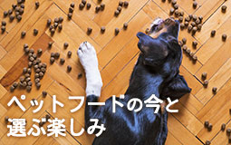 ペットフードの今と選ぶ楽しみ